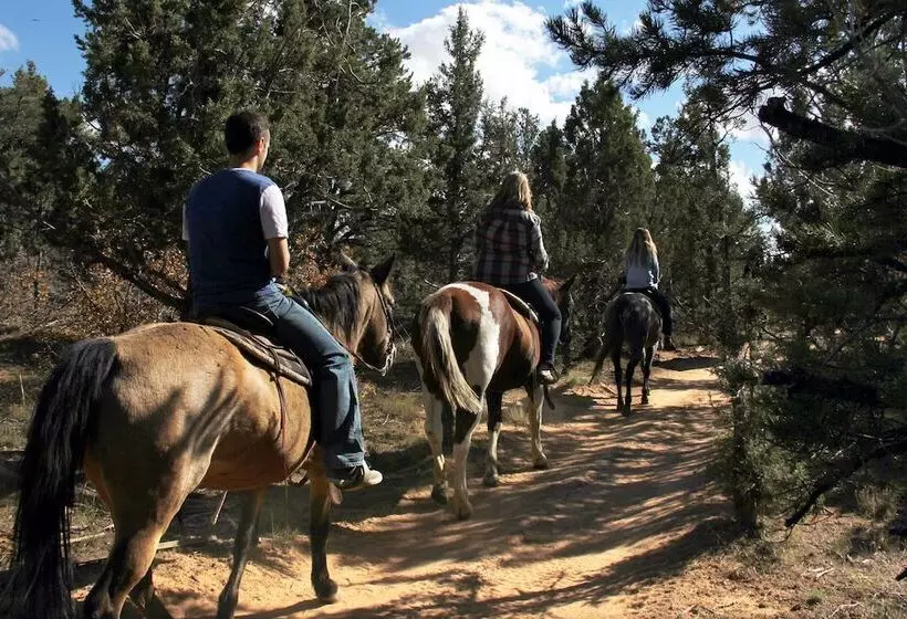 Отель Zion Ponderosa Ranch Resort