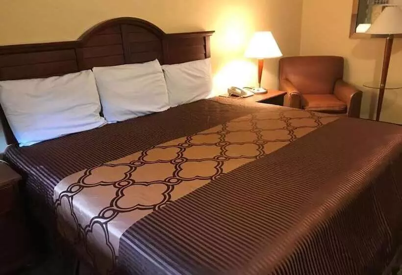 모텔 Alvin Extended Stay