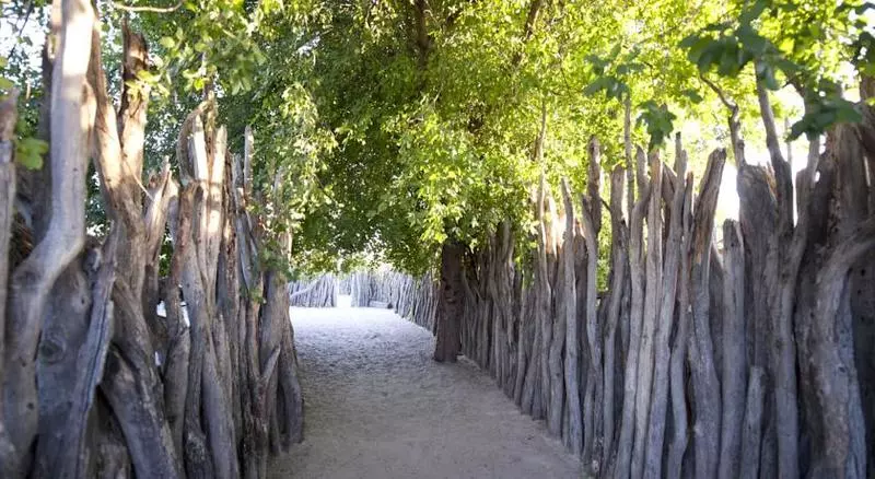 پانسیون Ongula Village Homestead Lodge