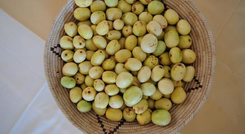 膳宿费 Ongula Village Homestead Lodge