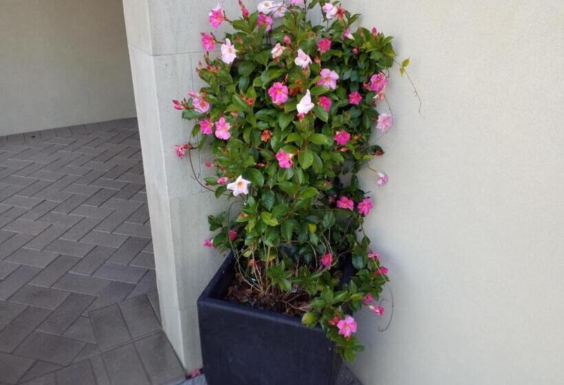 Sorrento Beach Bed & Breakfast