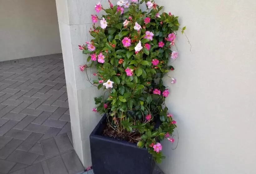 Sorrento Beach Bed & Breakfast