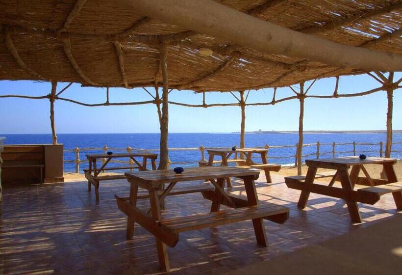 Viva Blue Resort And Diving Sharm El Naga