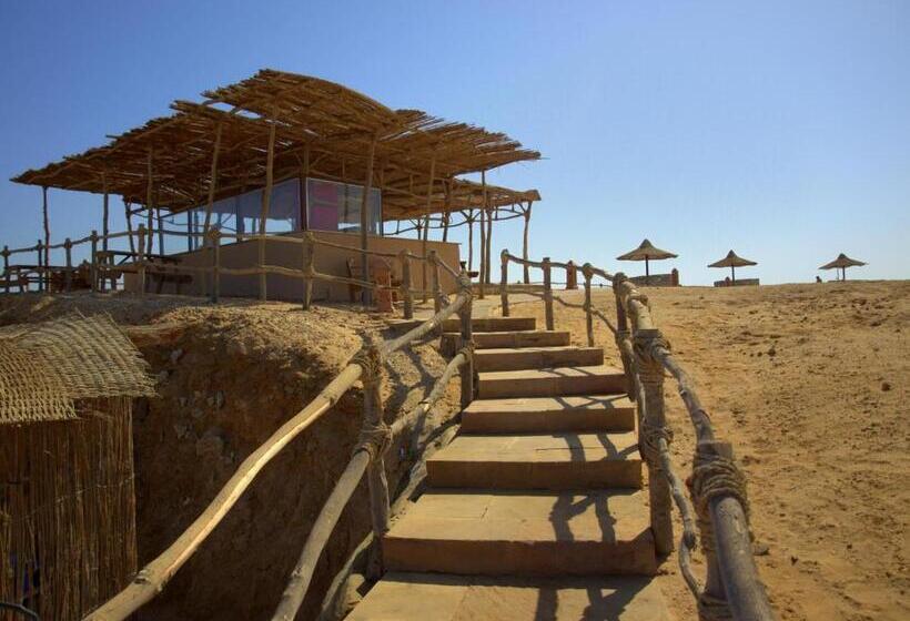 Viva Blue Resort And Diving Sharm El Naga