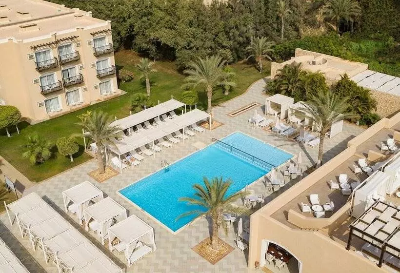هتل JAZ Neo Almazino, Almaza Bay