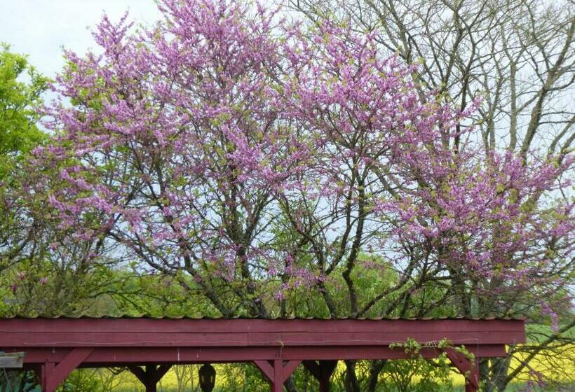 مبيت وإفطار Chalet Aux Pied Des Vignes