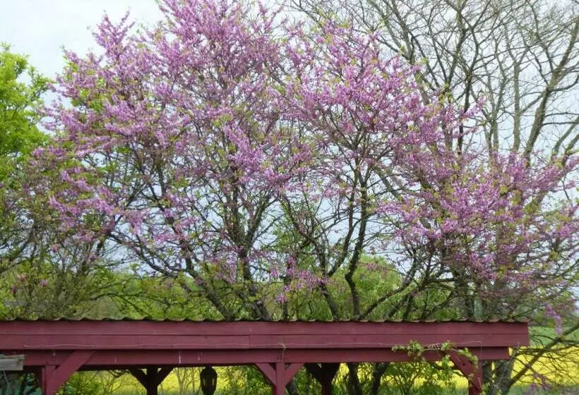 Aamiaismajoitus (B&B) Chalet Aux Pied Des Vignes