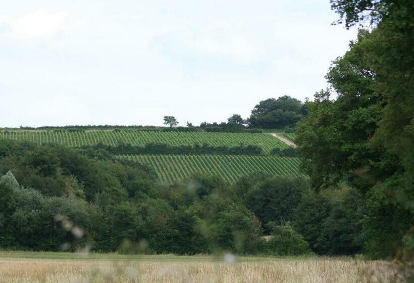 مبيت وإفطار Chalet Aux Pied Des Vignes