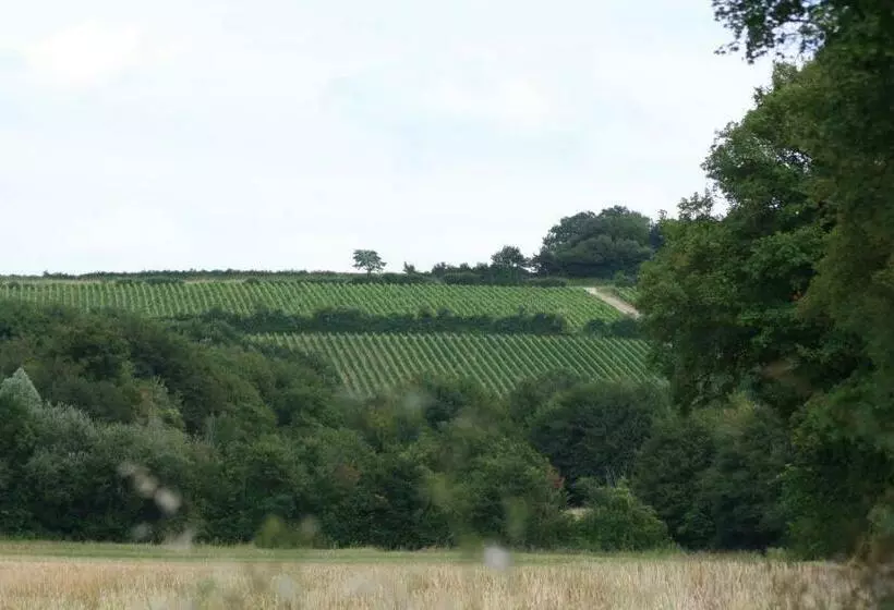 Aamiaismajoitus (B&B) Chalet Aux Pied Des Vignes