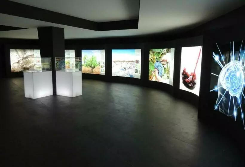 Hotelli Bodegas Traslascuestas   Grupo Piérola