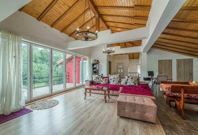 بنسيون Mountain View Lodge