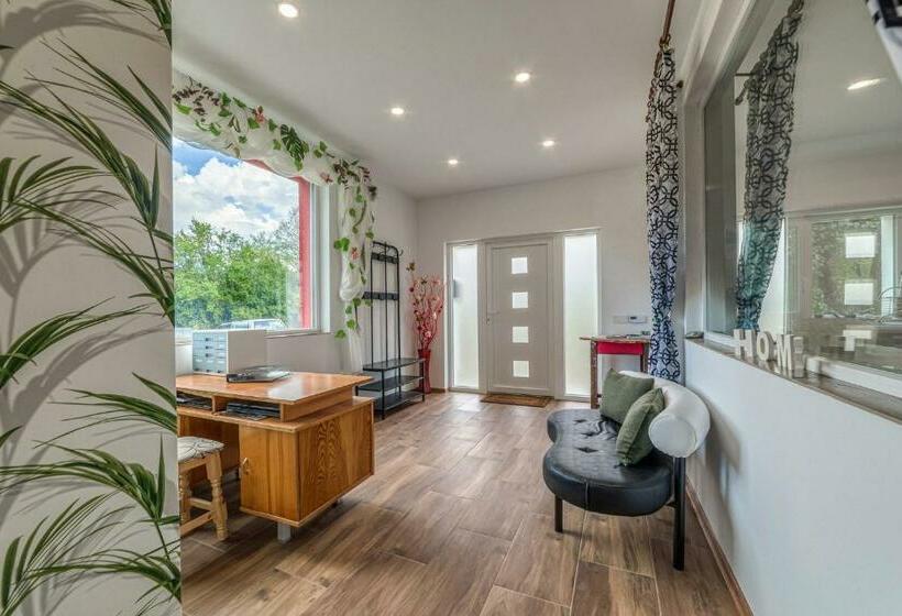 بنسيون Mountain View Lodge