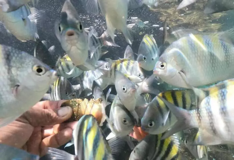 Majatalo Refúgio Canaã