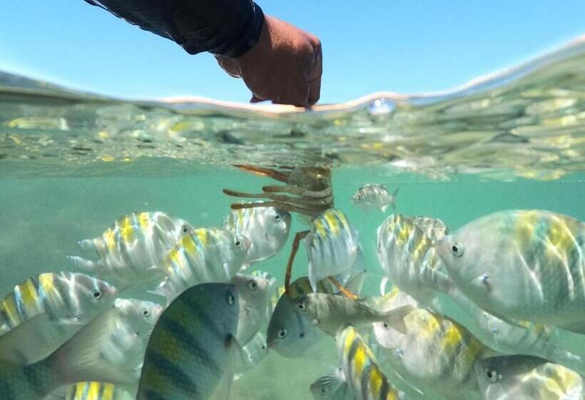 פנסיון Refúgio Canaã