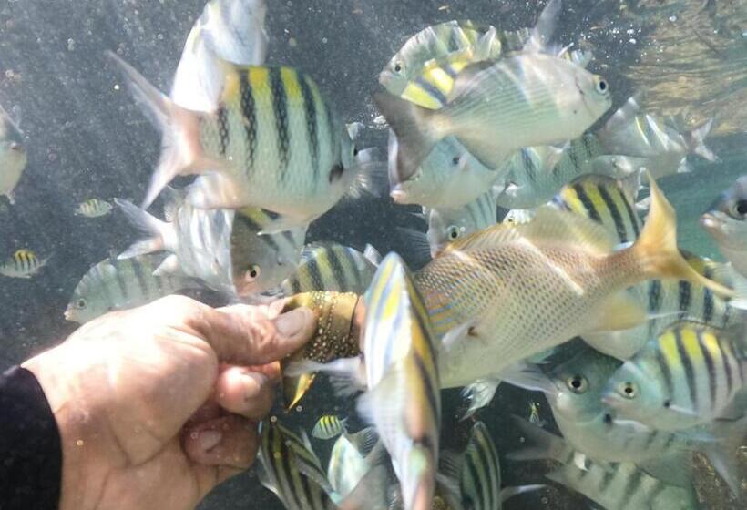 פנסיון Refúgio Canaã