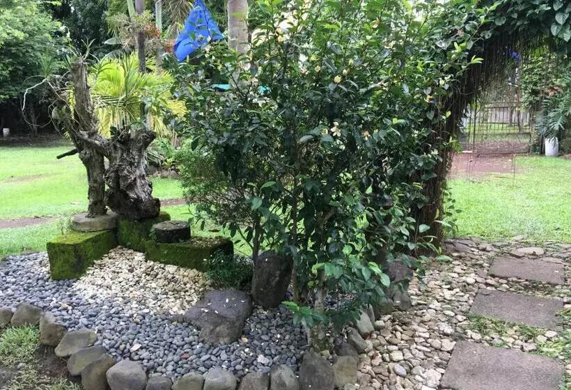 Zacona Eco Resort & Biblical Garden