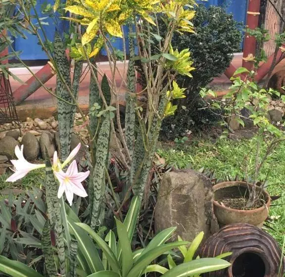 Zacona Eco Resort & Biblical Garden