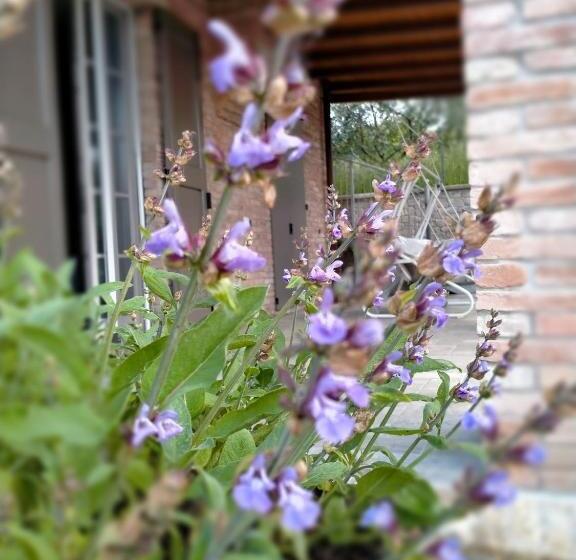 旅馆 Affittacamere Maranello Locanda Moca