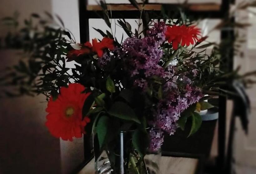 旅馆 Affittacamere Maranello Locanda Moca