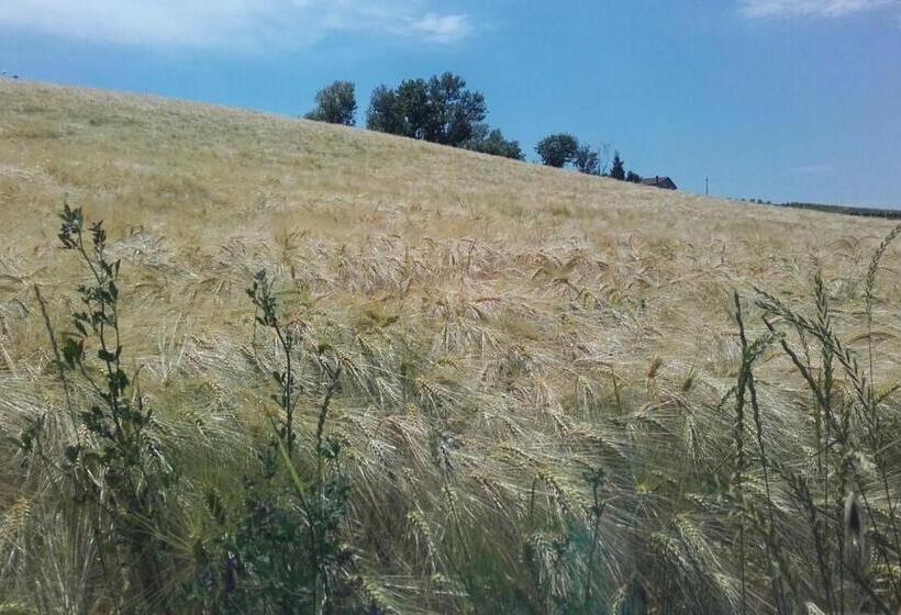 旅馆 Affittacamere Maranello Locanda Moca