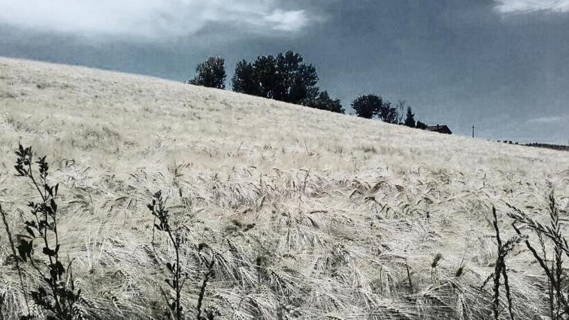 旅馆 Affittacamere Maranello Locanda Moca