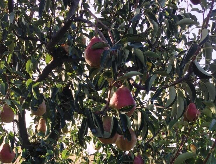 旅馆 Affittacamere Maranello Locanda Moca