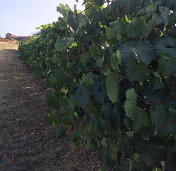 旅馆 Affittacamere Maranello Locanda Moca