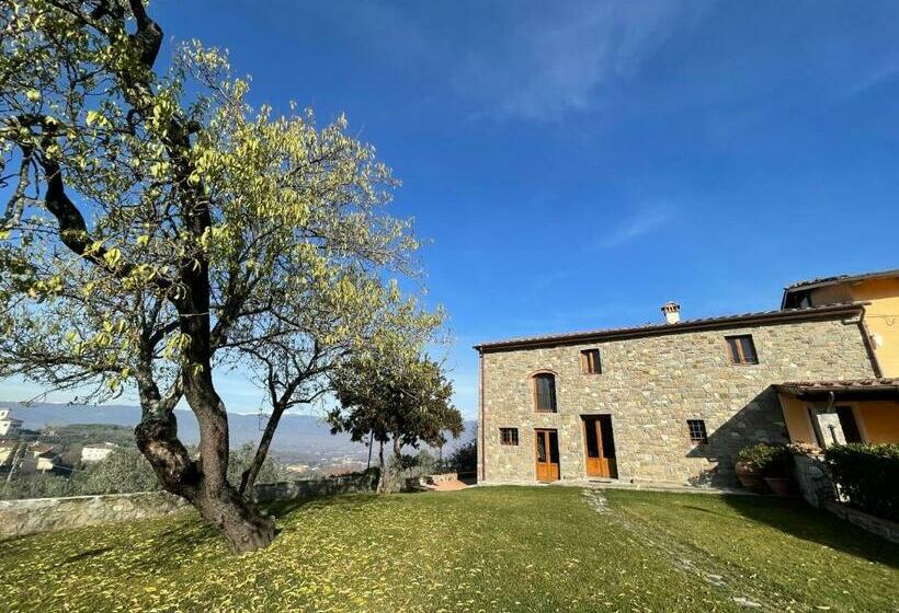 Bed and Breakfast Affittacamere Il Vecchio Mandorlo