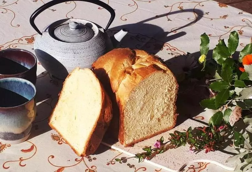 ベッドアンドブレックファースト Alegria