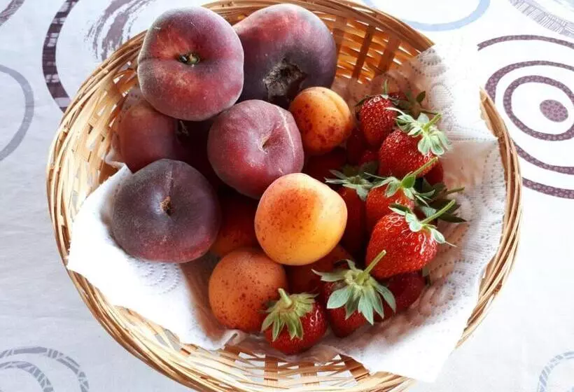 ベッドアンドブレックファースト Alegria