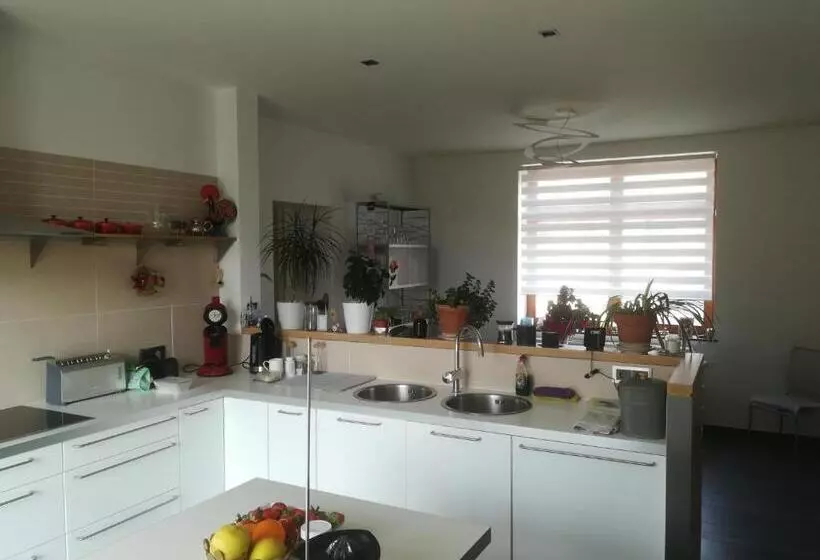 ベッドアンドブレックファースト Carpe Diem