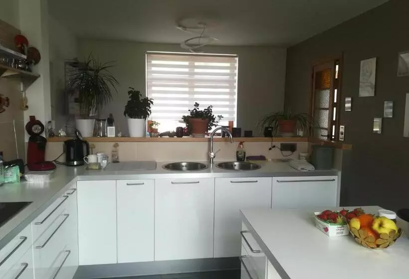 ベッドアンドブレックファースト Carpe Diem