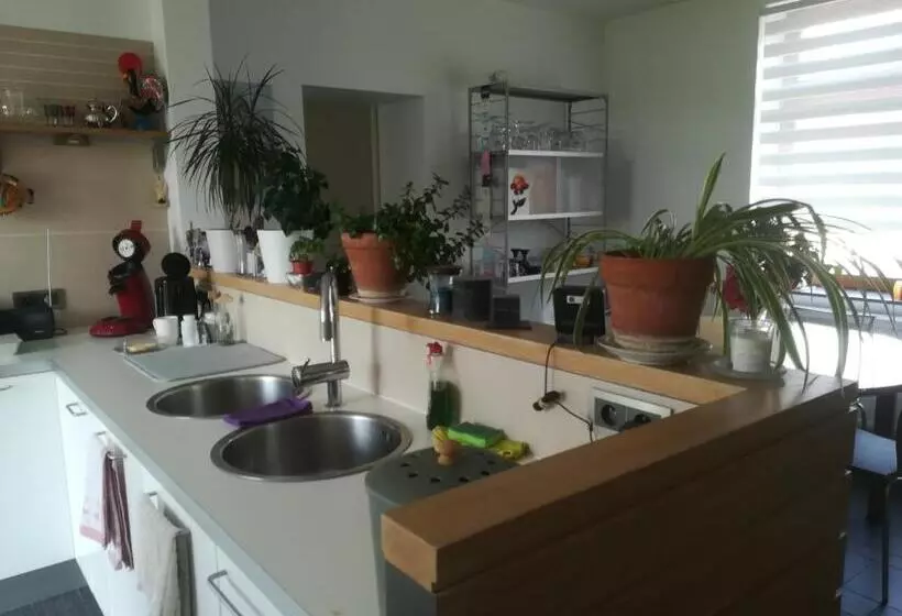 ベッドアンドブレックファースト Carpe Diem