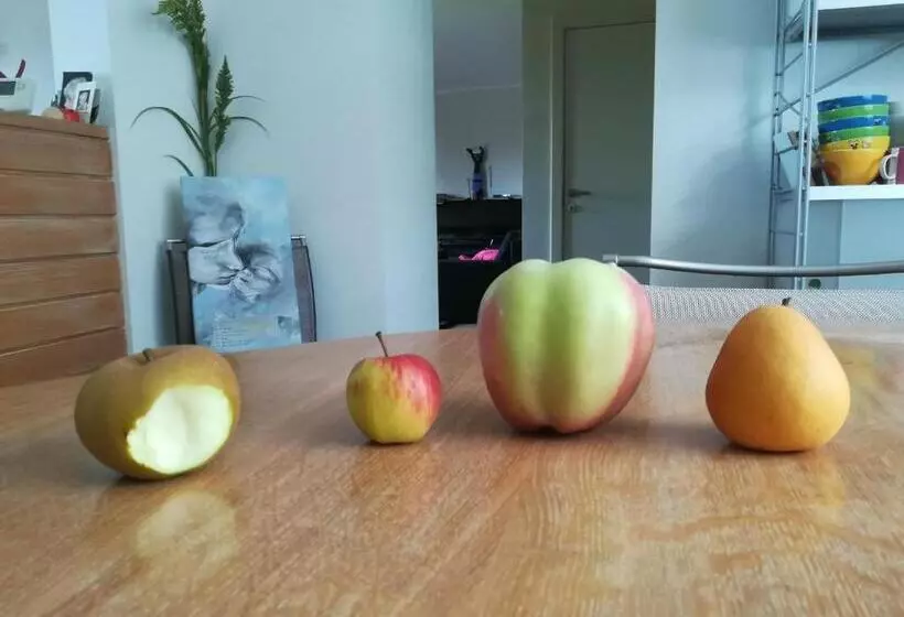 ベッドアンドブレックファースト Carpe Diem