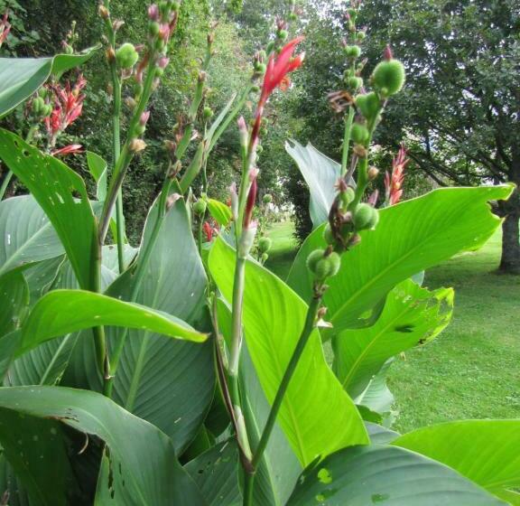 민박 Chambres D Hôtes De La Becterie