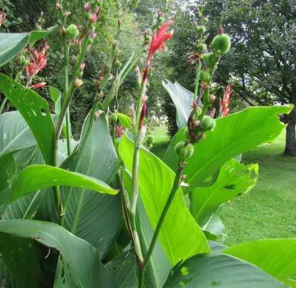 Aamiaismajoitus (B&B) Chambres D Hôtes De La Becterie