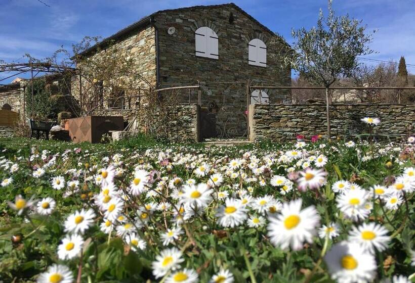 住宿加早餐 Chambres D Hôtes Et Studios De Charme A Mandria