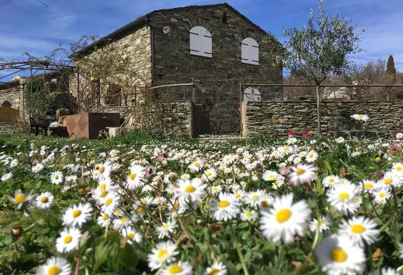 Aamiaismajoitus (B&B) Chambres D Hôtes Et Studios De Charme   A Mandria