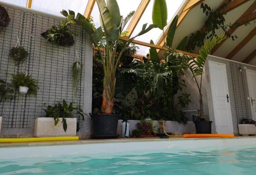 住宿加早餐 Chez Marek Et Urszula