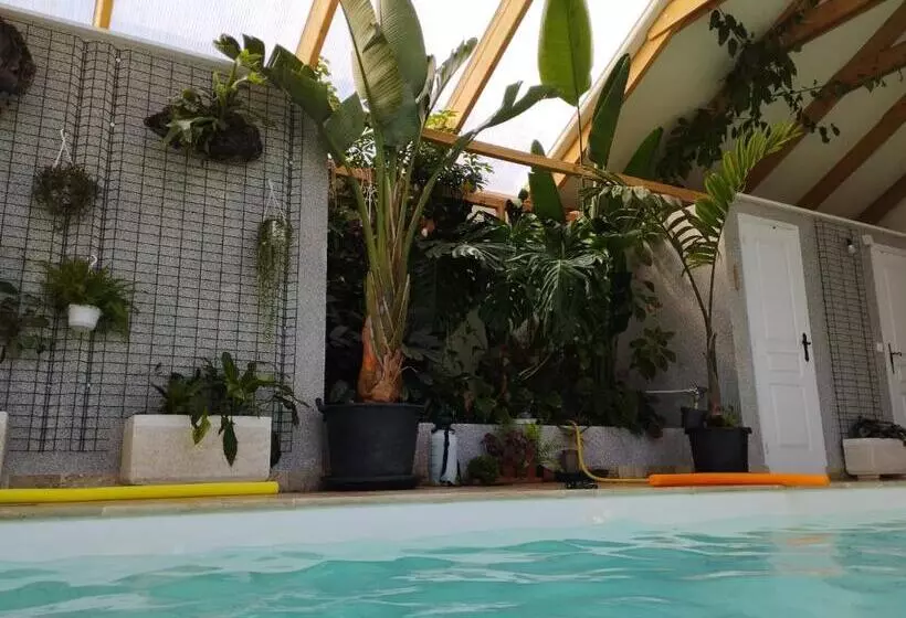 ベッドアンドブレックファースト Chez Marek Et Urszula