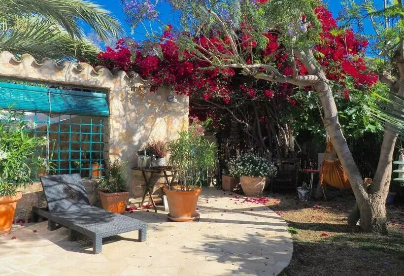 Aamiaismajoitus (B&B) Dachterrassenzimmer In Romantischem Landhaus Mit Pool