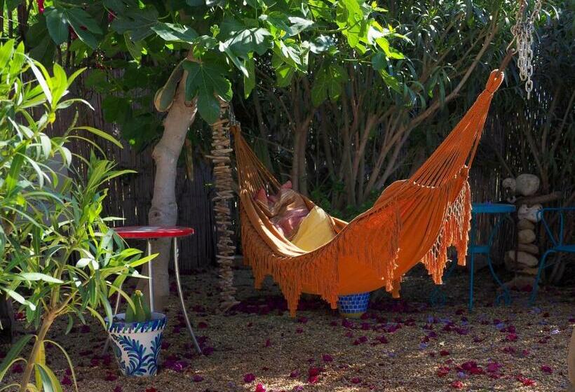 ベッドアンドブレックファースト Dachterrassenzimmer In Romantischem Landhaus Mit Pool