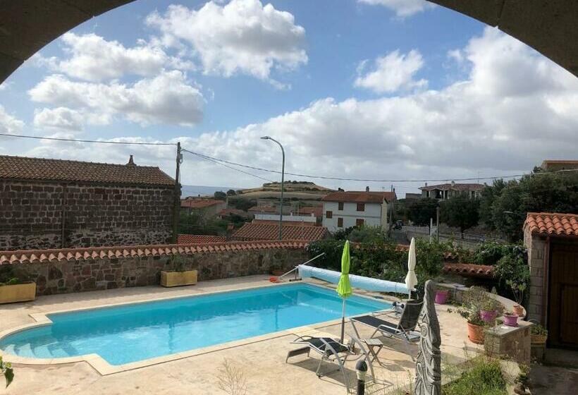 민박 Sard Paradise