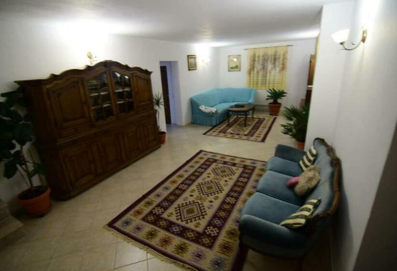 בית מלון כפרי Agropensiune Casa Sonia