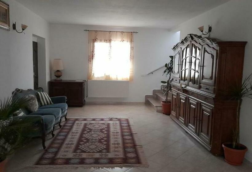 בית מלון כפרי Agropensiune Casa Sonia