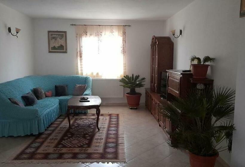 בית מלון כפרי Agropensiune Casa Sonia