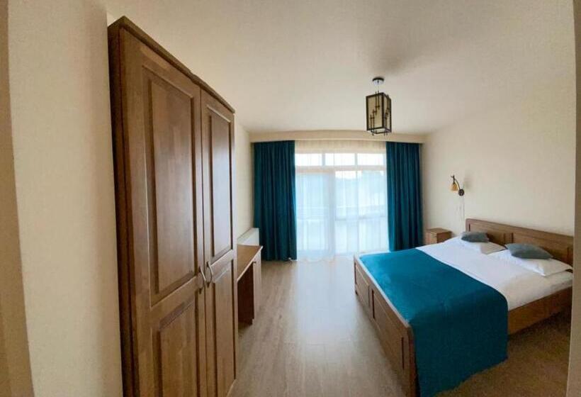 Hotel Pensiunea Bradul