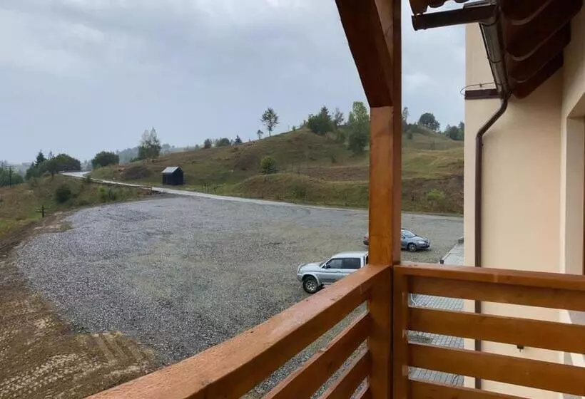 Hotelli Pensiunea Bradul