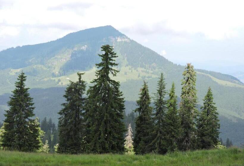 Hotel Pensiunea Bradul