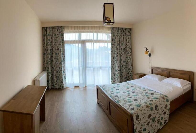 Hotel Pensiunea Bradul